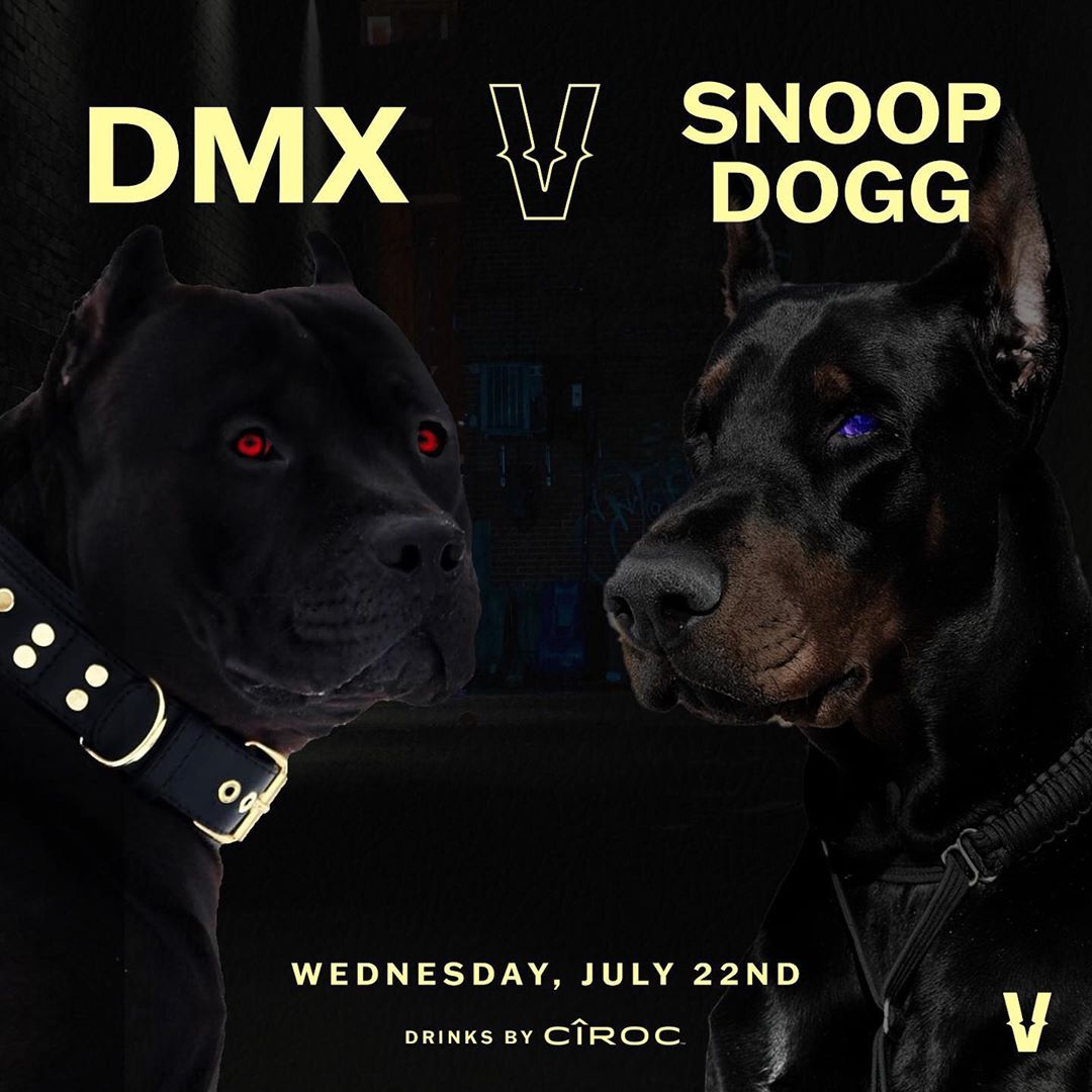 dm x snoop