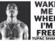 wake me when im done - tupac