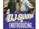 DJ Shadow